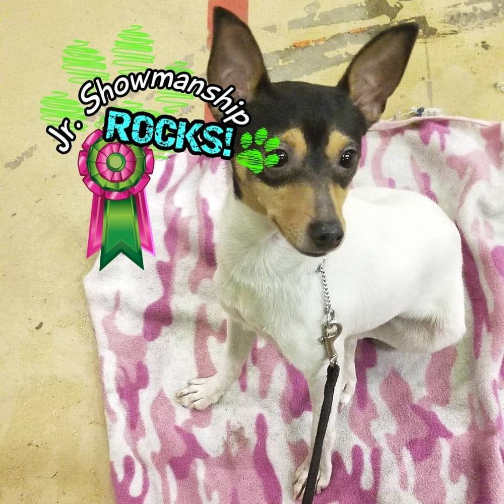 Meet your Posher, Alessandra